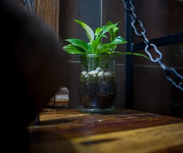 Restaurant Le Pernollet Bed & Breakfast